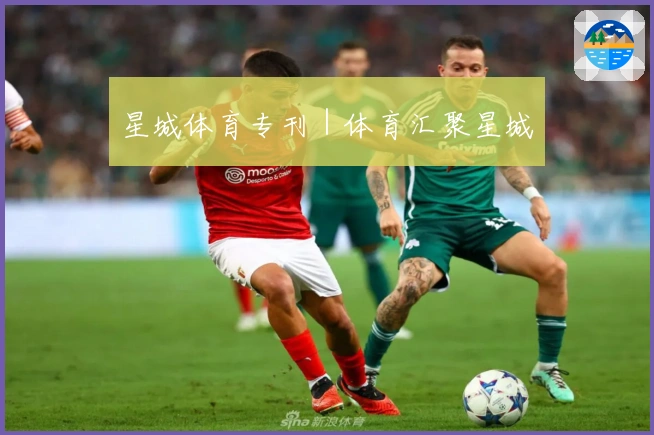 星城体育专刊｜体育汇聚星城